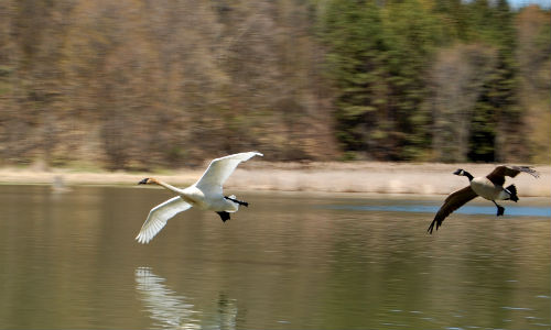 Kortright Centre for Conservation