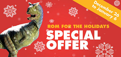 Holidays at the ROM (HYPE)