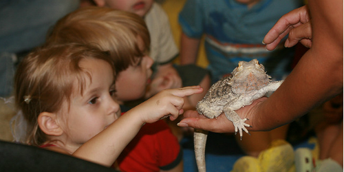 Top Picks for Kids at the 2015 CNE | Help! We've Got Kids