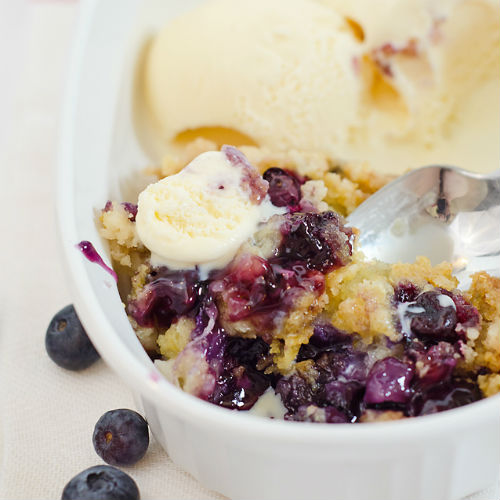 Blueberries 101 + Fresh Blueberry Recipes | Help! We've Got Kids