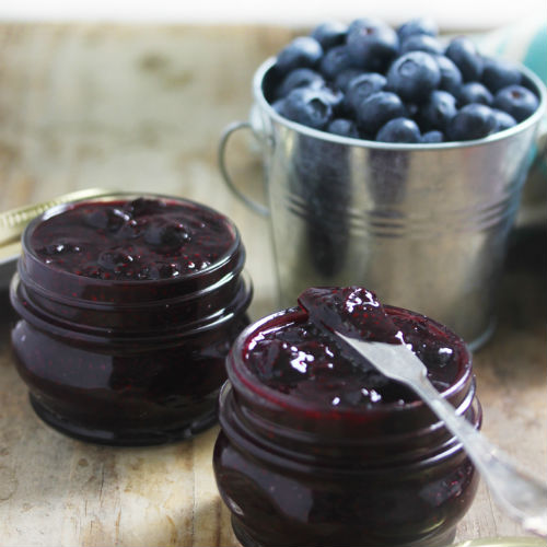 Blueberries 101 + Fresh Blueberry Recipes | Help! We've Got Kids