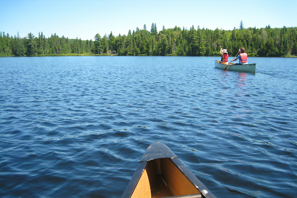 canoeing in Algonquin Provincial Park