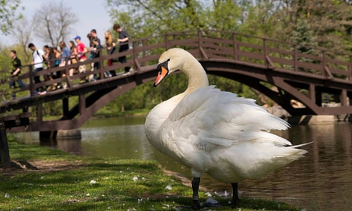 10 Fun Family Day Trips From Toronto | Help! We've Got Kids