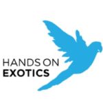 Hands On Exotics