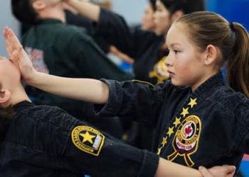 Northern Karate Schools — Willowdale