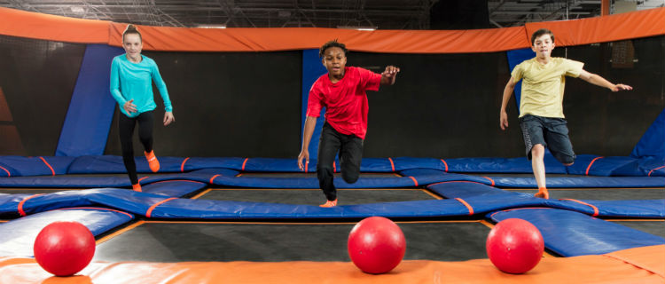 Business Listing: SkyZone Mississauga main - dodgeball