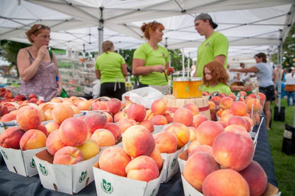 Article: Best Farmer’s Markets for Families in Toronto