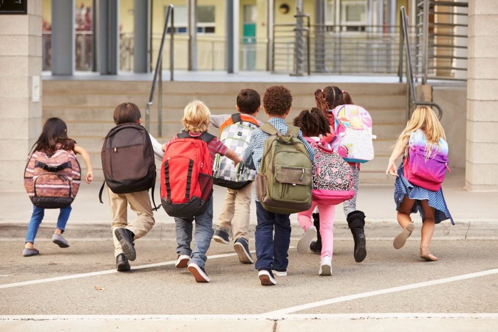 Article: Best Litterless Lunch Gear for Back To School