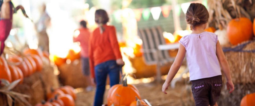 girls dragging pumpkins at fall harvest festival