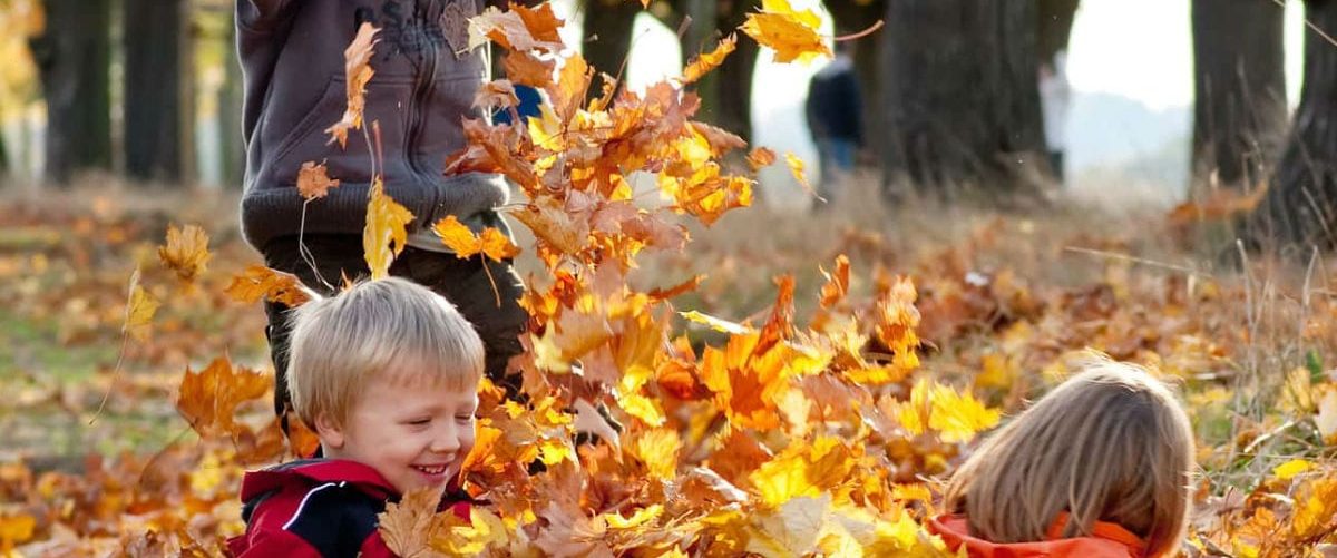 Article: 30 Best Things To Do in the Fall with Toronto Kids