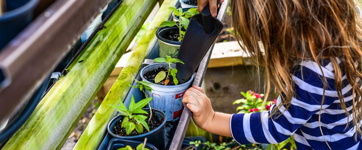 What Can I Plant With Kids? Gardening Projects for Families