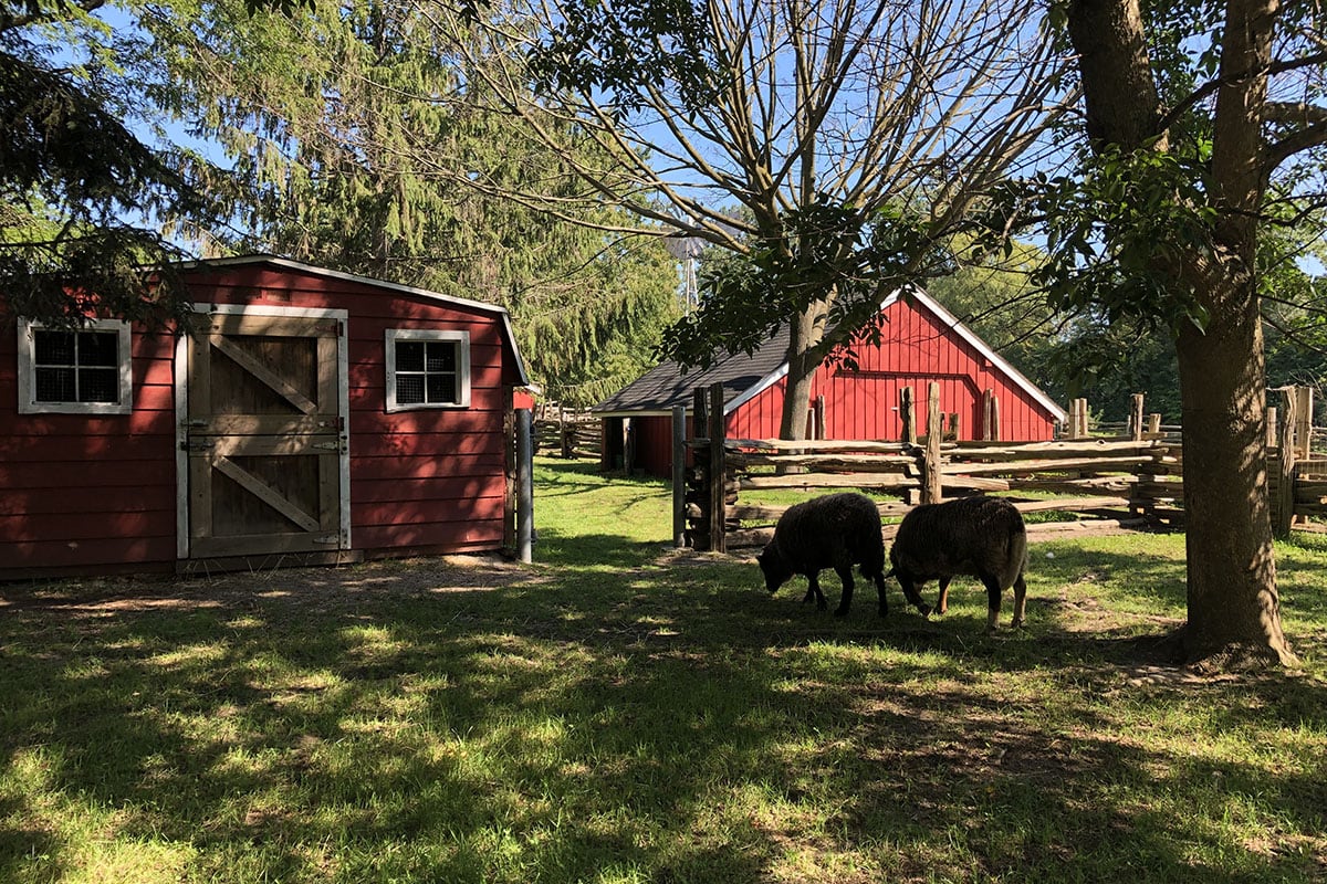 How to Spend a Day on the Toronto Island With Kids