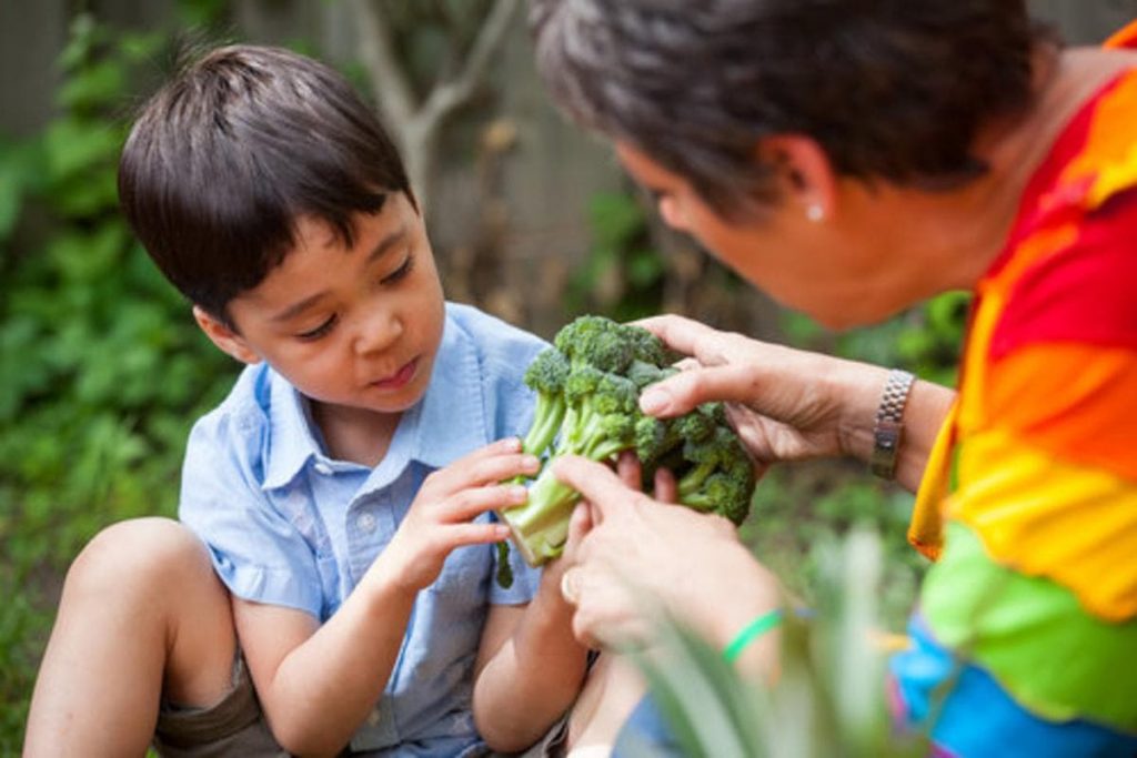 Article: No More Picky Eaters: How To End Mealtime Battles for Good