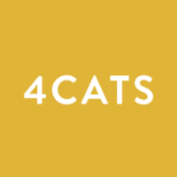 4Cats Arts Studio – The Beaches