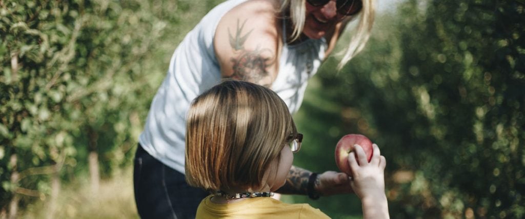 Best Places To Go Apple-Picking in the GTA