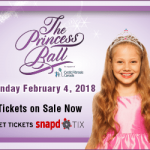 The Princess Ball poster