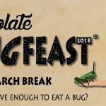 BugFeast 2018 banner