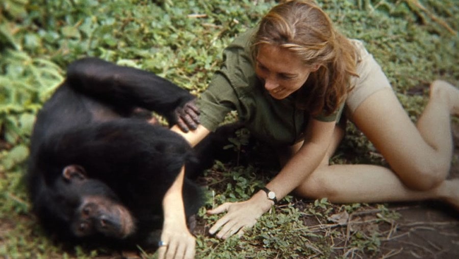 Jane Goodall with Chimp