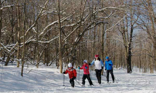 Article: March Break Day Trips Near Toronto