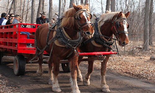 Article: March Break Day Trips Near Toronto