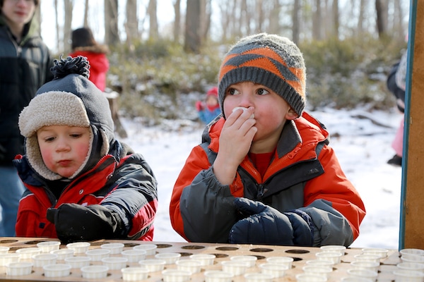 Sugar Shacks and Maple Syrup Festivals Near Toronto