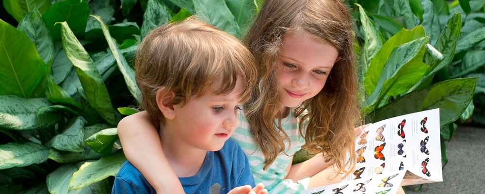 boy and girl reading about butterflies