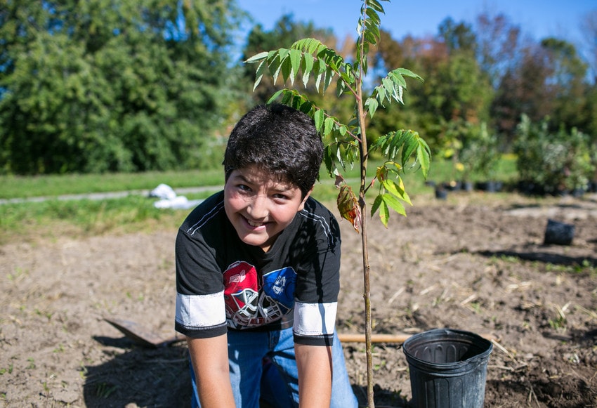 young boy planting a tree
