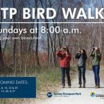 TPP Bird Walk Poster