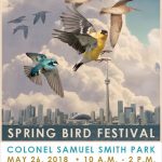 Spring Bird Festival Poster