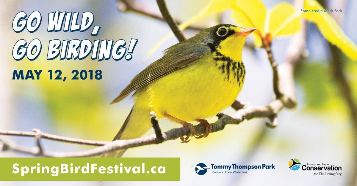 Spring Bird Festival banner