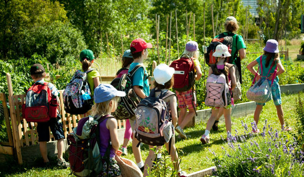 Outdoor and Nature Camps: High Park Eco Camp