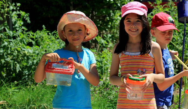 Outdoor and Nature Camps: Toronto Botanical Gardens