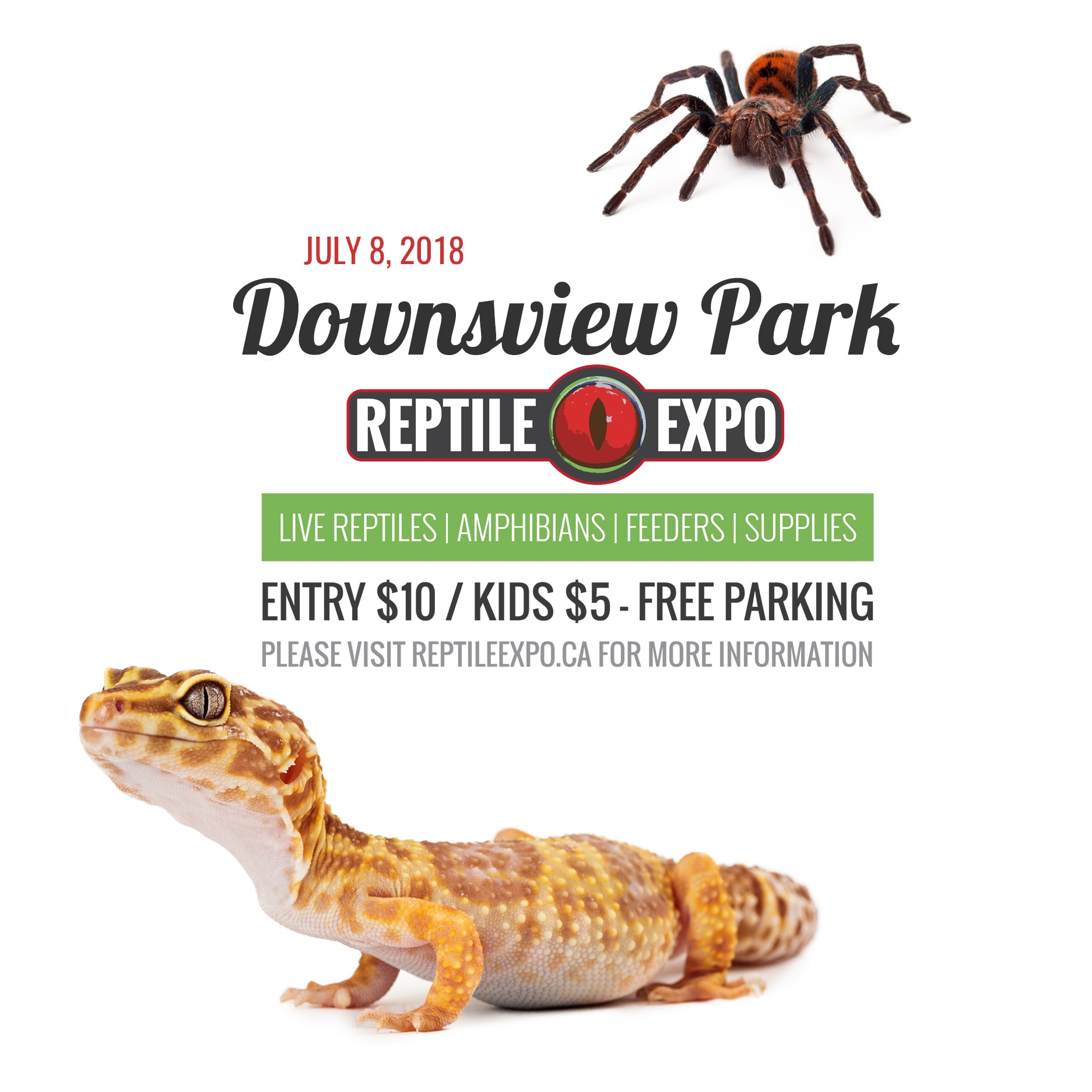 Downsview Park Reptile Expo Help! We've Got Kids