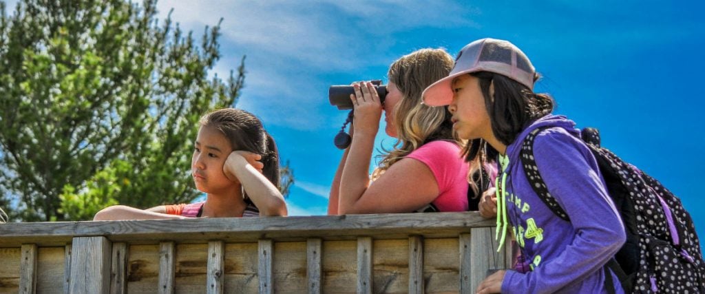 Rouge National Urban Park with Kids - Wilderness in the City