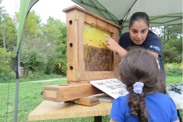 Kids Get an Eco Education at Kortright Centre