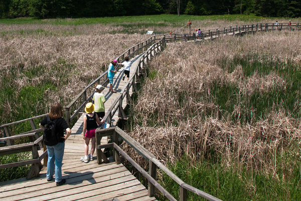 Kids Get an Eco Education at Kortright Centre