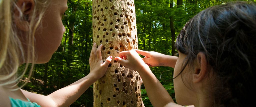 Kids Get an Eco Education at Kortright Centre for Conservation