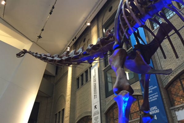 Guide to the ROM with Kids