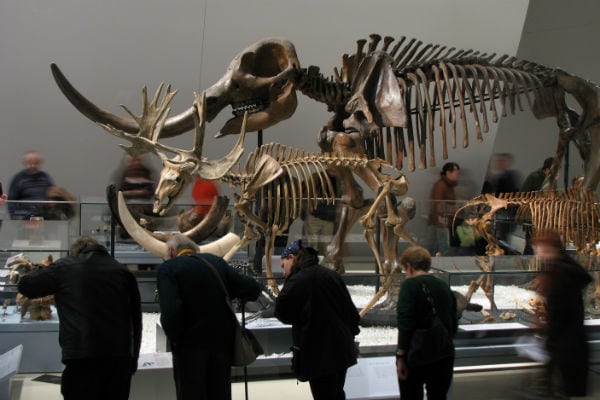 Guide to the ROM with Kids