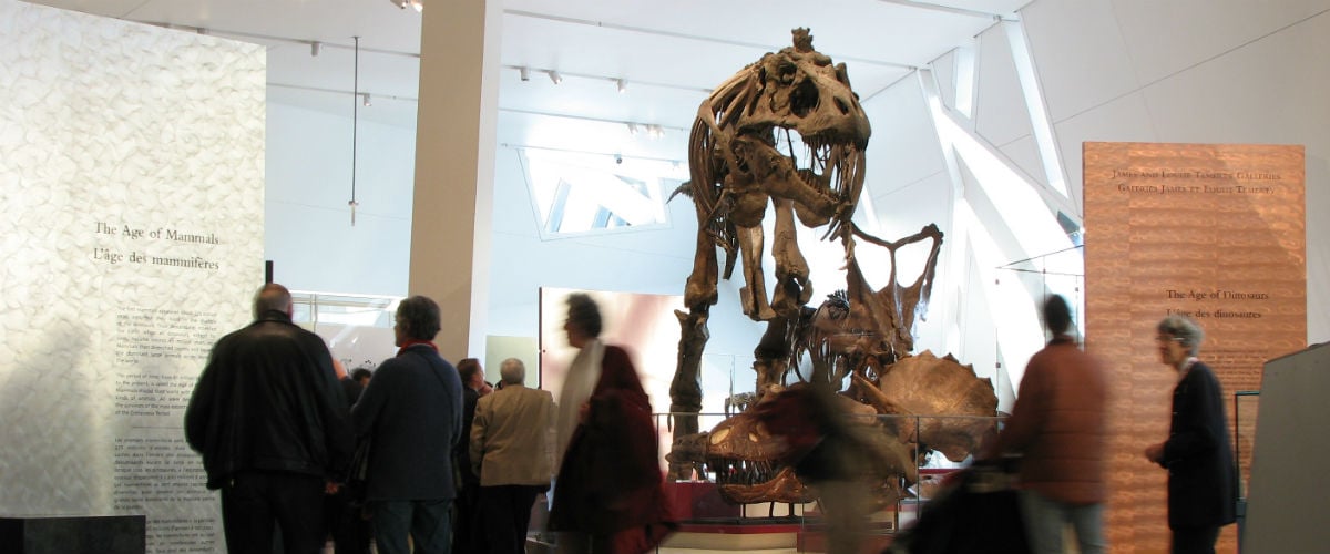 Guide to the ROM with Kids