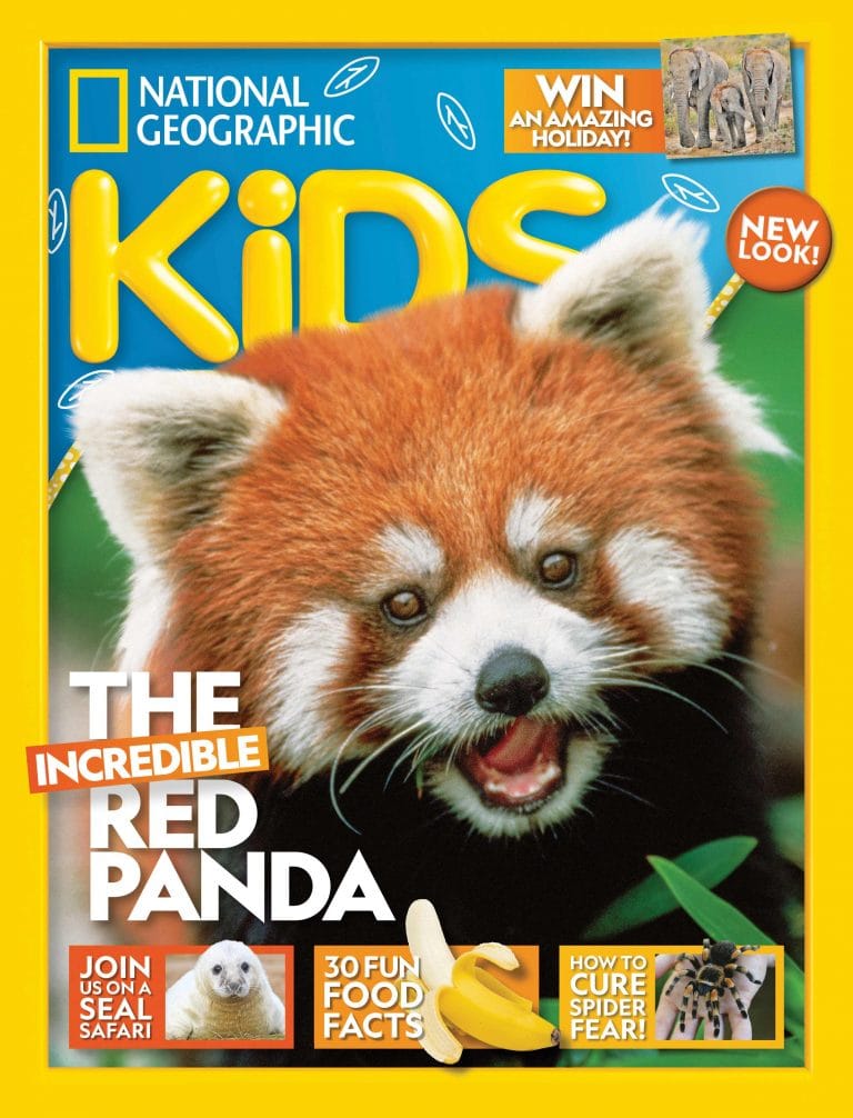 14 Awesome Magazines For Canadian Kids Help We Ve Got Kids   Nat Geo Kids Cover Red Panda 768x1006 