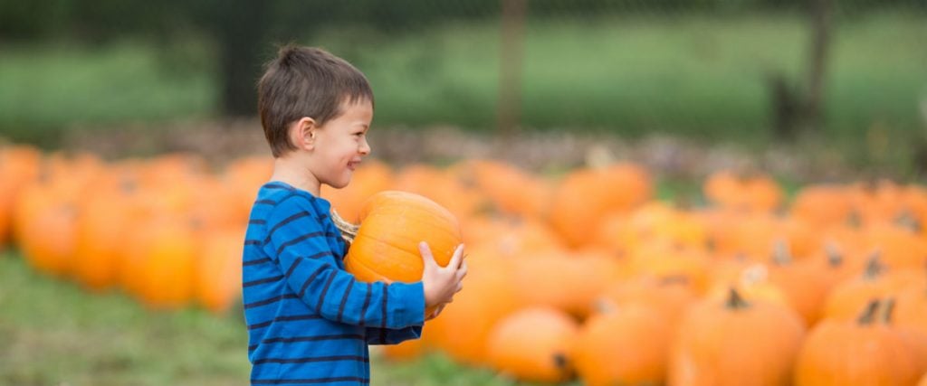 Fun Fall Farms for Hamilton Kids