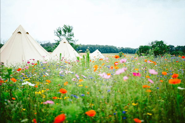 Where To Camp in Comfort With Kids in Ontario