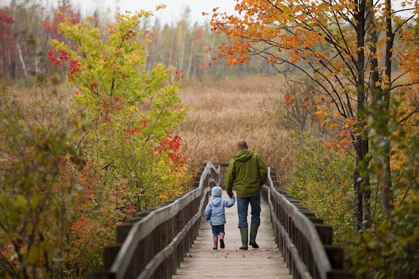 Free Things To Do in Ottawa with Kids