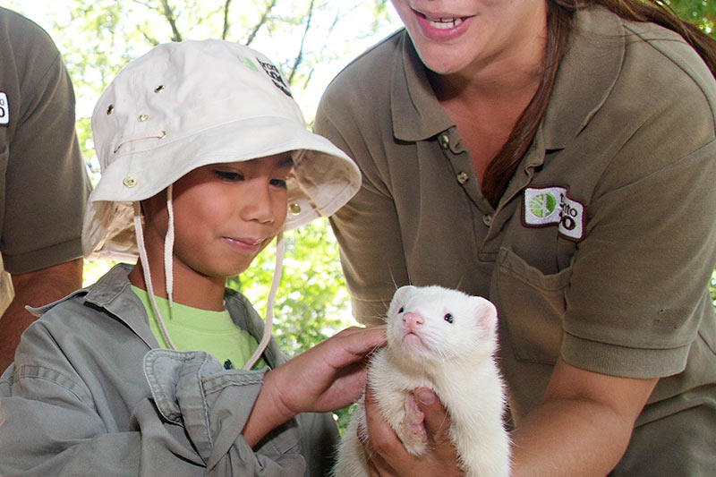 How To Spend an Awesome Day With Kids at the Toronto Zoo