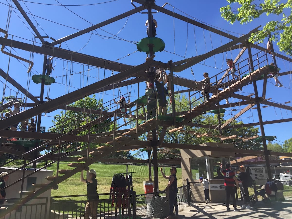 How To Spend an Awesome Day With Kids at the Toronto Zoo