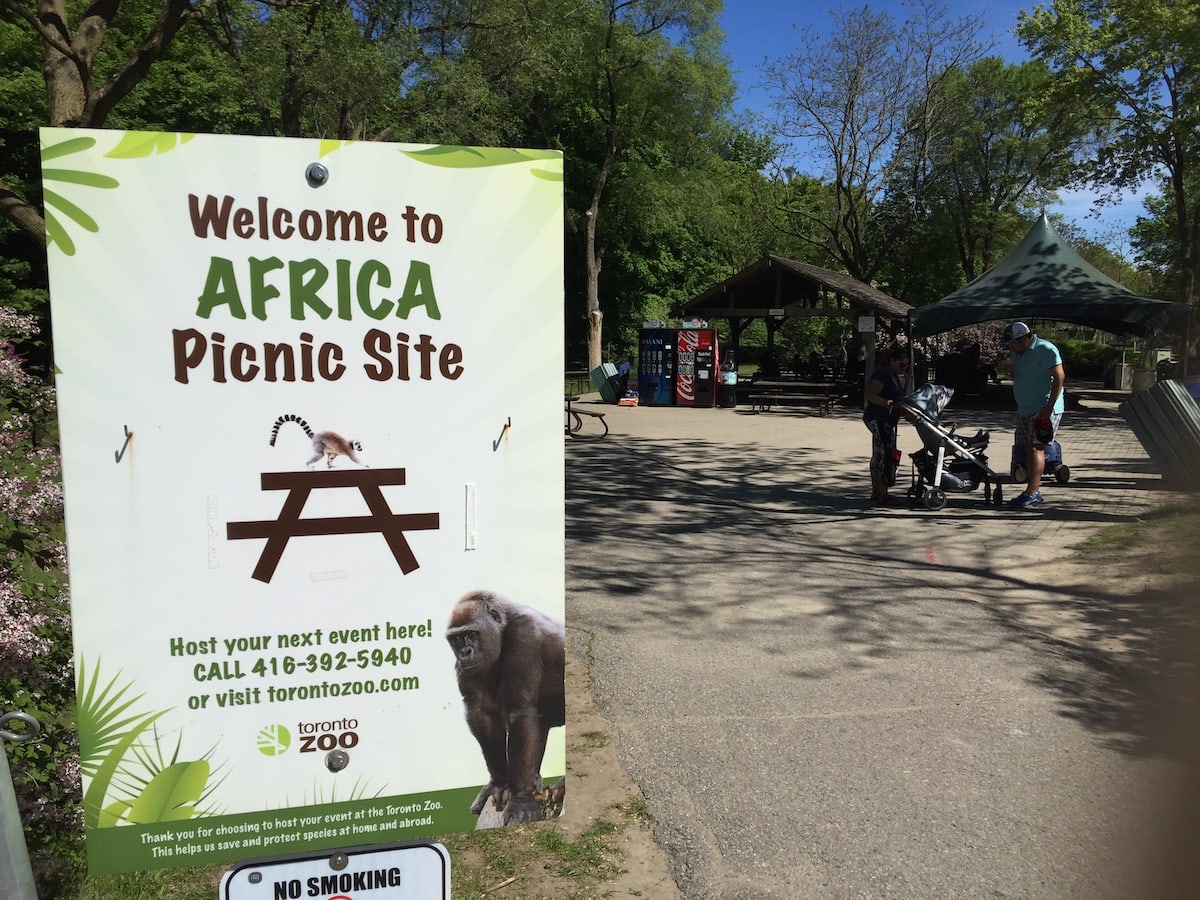 How To Spend an Awesome Day With Kids at the Toronto Zoo