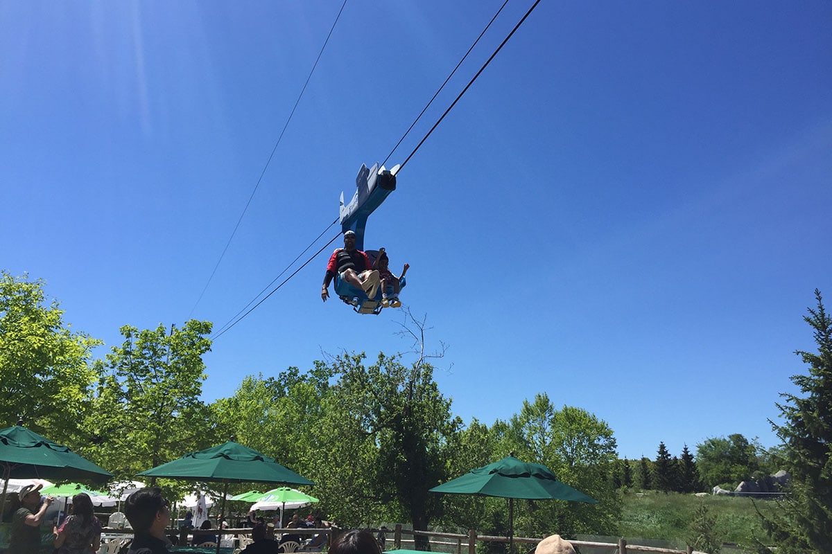 How To Spend an Awesome Day With Kids at the Toronto Zoo