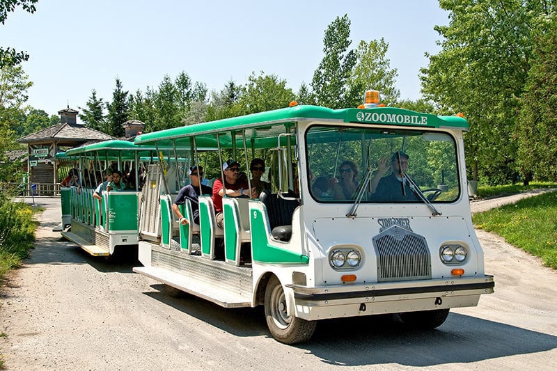 How To Spend an Awesome Day With Kids at the Toronto Zoo