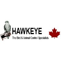 Hawkeye Bird and Animal Control Falconry Experience